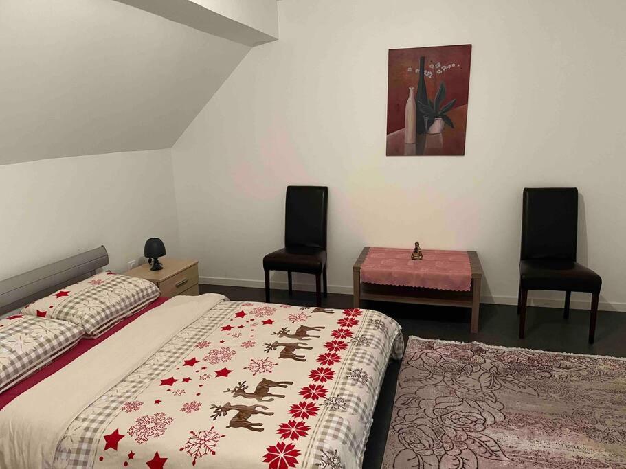 Apartment Maison Neuve Chaleureuse Pour 1 A 4 Personnes Schiltigheim
