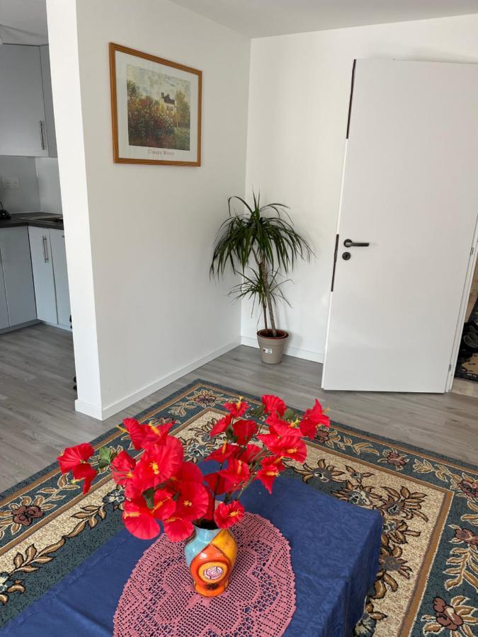 Maison Neuve Chaleureuse Pour 1 A 4 Personnes Apartment Schiltigheim